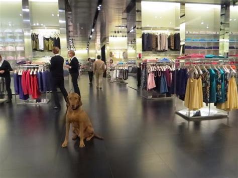 the space prada montevarchi|How to Shop the Prada Outlet in Florence .